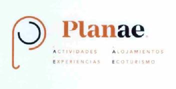 Imagen de PLANAE