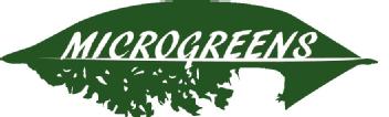 Imagen de MICROGREENS