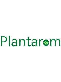 Imagen de PLANTAROM