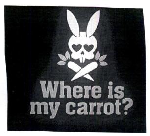 Imagen de WHERE IS MY CARROT?