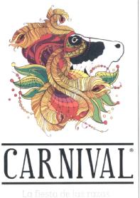 Imagen de CARNIVAL LA FIESTA DE LAS RAZAS
