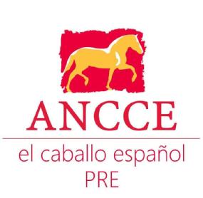 Imagen de ANCCE EL CABALLO ESPAÑOL PRE