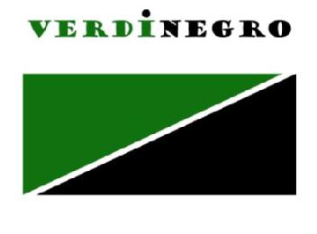 Imagen de VERDINEGRO