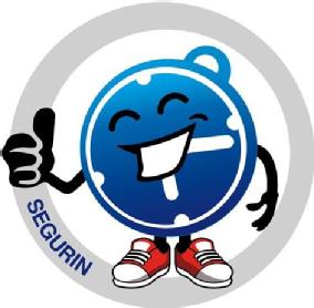 Imagen de SEGURIN