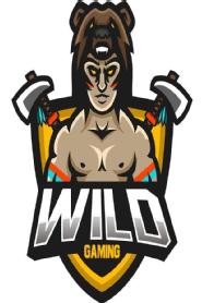 Imagen de WILD GAMING