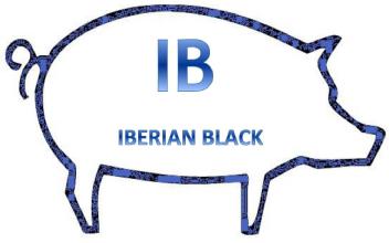 Imagen de IB IBERIAN BLACK