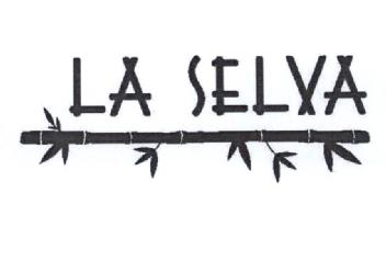 Imagen de LA SELVA