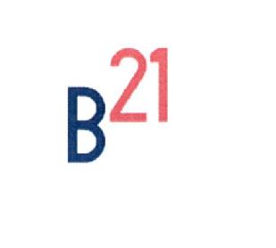 Imagen de B21