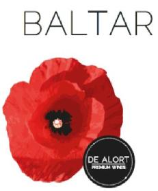 Imagen de BALTAR