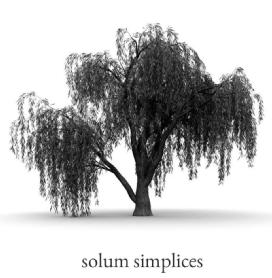 Imagen de SOLUM SIMPLICES