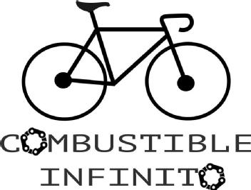 Imagen de COMBUSTIBLE INFINITO