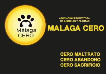Imagen de ASOCIACION PROTECTORA DE ANIMALES Y PLANTAS MALAGA CERO CERO MALTRATO CERO ABANDONO CERO SACRIFICIO