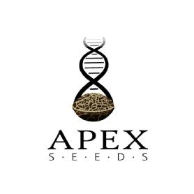 Imagen de APEX SEEDS