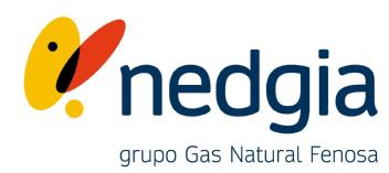 Imagen de NEDGIA GRUPO GAS NATURAL FENOSA