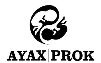Imagen de AYAX PROK