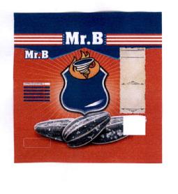 Imagen de MR.B
