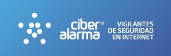 Imagen de CIBERALARMA VIGILANTES DE SEGURIDAD EN INTERNET