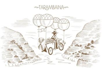 Imagen de TARAMBAINA