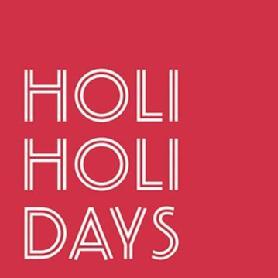 Imagen de HOLIHOLIDAYS
