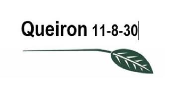 Imagen de QUEIRON 11-8-30