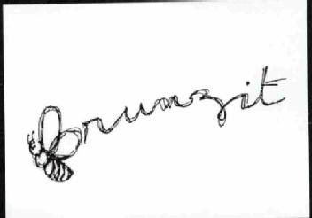 Imagen de BRUNZIT