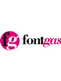 Imagen de FG FONTGAS