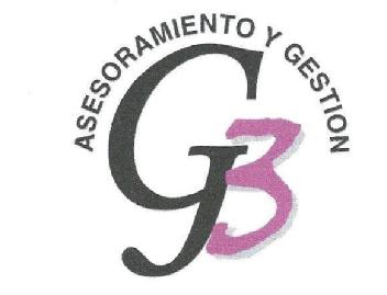 Imagen de ASESORAMIENTO Y GESTION G 3