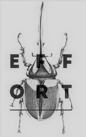 Imagen de E F F O R T
