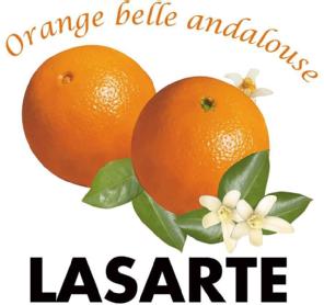Imagen de ORANGE BELLE ANDALOUSE LASARTE