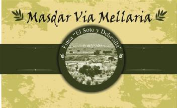 Imagen de MASDAR VIA MELLARIA FINCA EL SOTO Y DEHESILLA