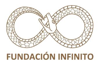 Imagen de FUNDACION INFINITO