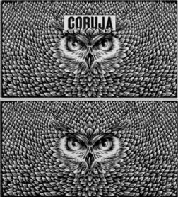 Imagen de CORUJA, FIG