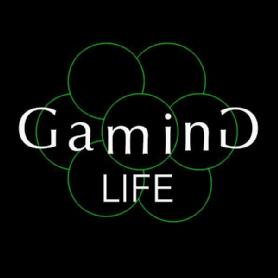 Imagen de GAMING LIFE