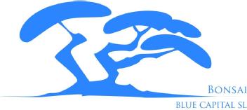 Imagen de BONSAI BLUE CAPITAL SL