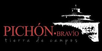 Imagen de PICHON BRAVIO TIERRA DE CAMPOS