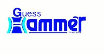 Imagen de GUESS HAMMER BRAND VALUE