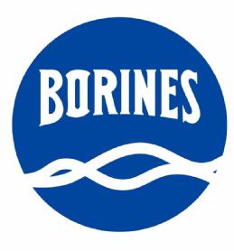 Imagen de BORINES