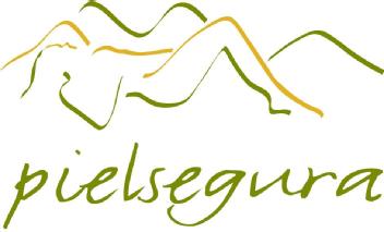Imagen de PIELSEGURA