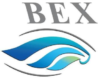 Imagen de BEX