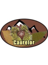 Imagen de CAURELOR