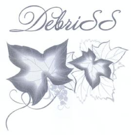 Imagen de DEBRISS