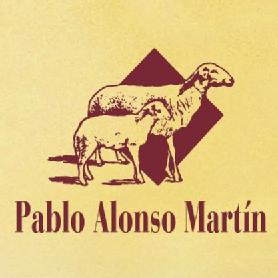 Imagen de PABLO ALONSO MARTIN