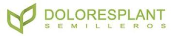 Imagen de SEMILLEROS DOLORESPLANT