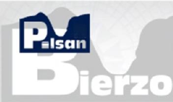 Imagen de PILSAN BIERZO