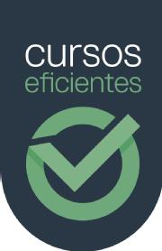 Imagen de CURSOS EFICIENTES