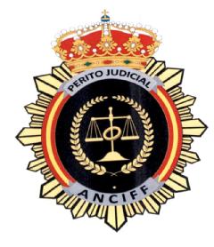 Imagen de PERITO JUDICIAL ANCIFF