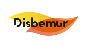Imagen de DISBEMUR