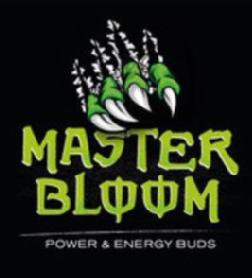 Imagen de MASTER BLOOM POWER & ENERGY BUDS