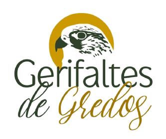Imagen de GERIFALTES DE GREDOS