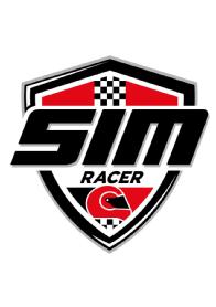 Imagen de SIMRACER